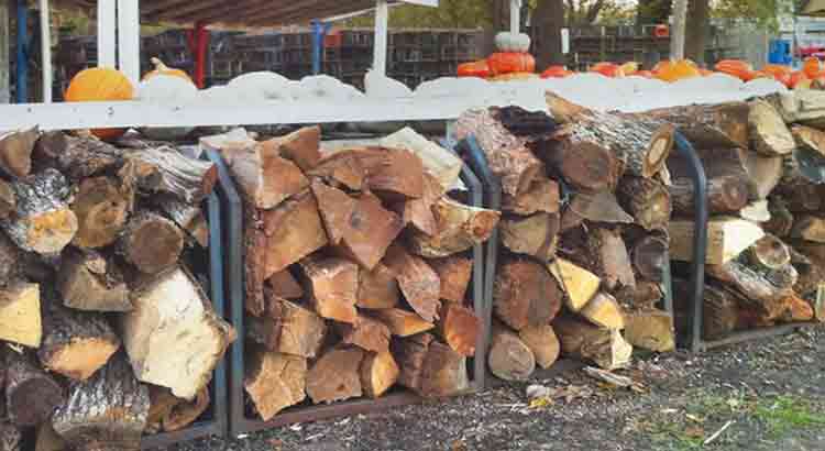 Best Burning Wood for a Fire Pit and Wood You Should Avoid